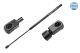 MEYLE Gasfeder, Koffer-/Laderaum 640 910 0065