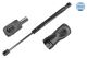 MEYLE Gasfeder, Koffer-/Laderaum 70-40 910 0002