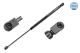 MEYLE Gasfeder, Koffer-/Laderaum 740 910 0011