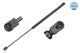 MEYLE Gasfeder, Koffer-/Laderaum 840 910 0003