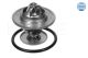 MEYLE Thermostat, Kühlmittel 100 121 0048