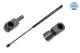 MEYLE Gasfeder, Koffer-/Laderaum 640 910 0023