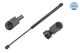 MEYLE Gasfeder, Koffer-/Laderaum 11-40 910 0001