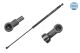 MEYLE Gasfeder, Koffer-/Laderaum 11-40 910 0004