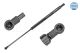 MEYLE Gasfeder, Koffer-/Laderaum 11-40 910 0024