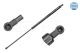 MEYLE Gasfeder, Koffer-/Laderaum 16-40 910 0001
