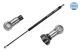 MEYLE Gasfeder, Koffer-/Laderaum 16-40 910 0016