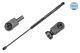 MEYLE Gasfeder, Koffer-/Laderaum 240 910 0013