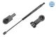 MEYLE Gasfeder, Koffer-/Laderaum 30-40 910 0033