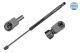 MEYLE Gasfeder, Koffer-/Laderaum 33-40 910 0010