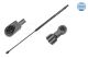 MEYLE Gasfeder, Motorhaube 340 910 0000