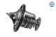 MEYLE Thermostat, Kühlmittel 35-28 228 0001