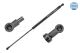MEYLE Gasfeder, Koffer-/Laderaum 36-40 910 0031