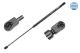 MEYLE Gasfeder, Koffer-/Laderaum 640 910 0004