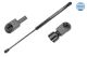 MEYLE Gasfeder, Koffer-/Laderaum 640 910 0014