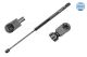 MEYLE Gasfeder, Koffer-/Laderaum 740 910 0029