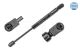 MEYLE Gasfeder, Koffer-/Laderaum 740 910 0038