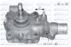 DOLZ Wasserpumpe, Motorkühlung B114