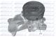DOLZ Wasserpumpe, Motorkühlung B224