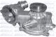 DOLZ Wasserpumpe, Motorkühlung B229