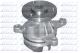 DOLZ Wasserpumpe, Motorkühlung F150