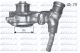 DOLZ Wasserpumpe, Motorkühlung F166