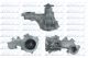DOLZ Wasserpumpe, Motorkühlung F251