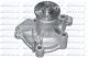 DOLZ Wasserpumpe, Motorkühlung H204