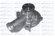 DOLZ Wasserpumpe, Motorkühlung H216