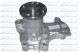 DOLZ Wasserpumpe, Motorkühlung H218