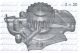 DOLZ Wasserpumpe, Motorkühlung M146