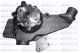 DOLZ Wasserpumpe, Motorkühlung M610CT