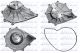 DOLZ Wasserpumpe, Motorkühlung M665
