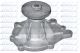 DOLZ Wasserpumpe, Motorkühlung N106