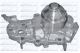 DOLZ Wasserpumpe, Motorkühlung R218