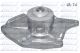 DOLZ Wasserpumpe, Motorkühlung R227