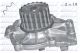 DOLZ Wasserpumpe, Motorkühlung R304