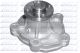 DOLZ Wasserpumpe, Motorkühlung S242