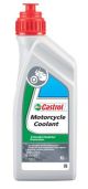 CASTROL Frostschutz 154D1C