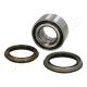 JAPANPARTS Radlagersatz KK-12035