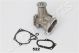 JAPANPARTS Wasserpumpe, Motorkühlung PQ-522