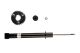 BILSTEIN Stoßdämpfer 15-062208