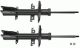 TRW Stoßdämpfer JGM1074T