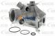 VAICO Wasserpumpe, Motorkühlung V30-50046