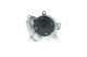 AISIN Wasserpumpe, Motorkühlung WPD-036