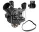 FEBI BILSTEIN Thermostat, Kühlmittel 172970