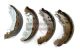MAXGEAR Bremsbackensatz 19-0321