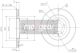 MAXGEAR Bremsscheibe 19-0976