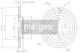 MAXGEAR Bremsscheibe 19-0999