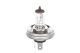 BOSCH Glühlampe, Fernscheinwerfer 1 987 301 021